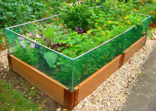 Как и чем огородить грядки своими руками