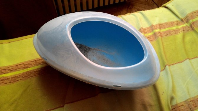 как приучить шиншиллу к туалету