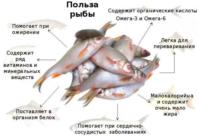 Какая самая полезная для организма