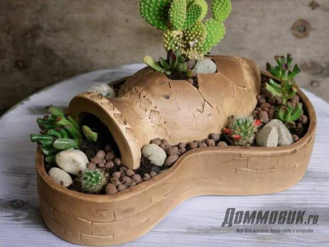 кактусы в разбитой вазе