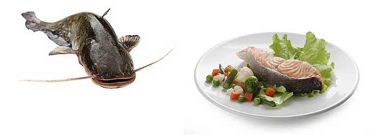 Какую имеет сом калорийность?