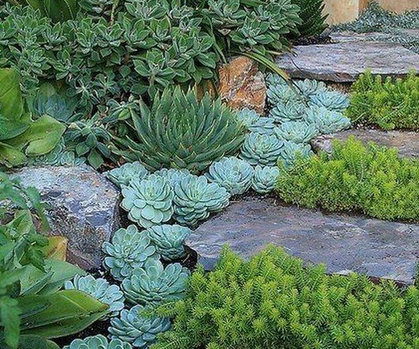 клумба-ручей