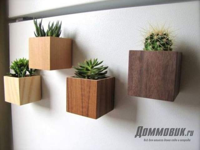магнитные горшки для кактусов