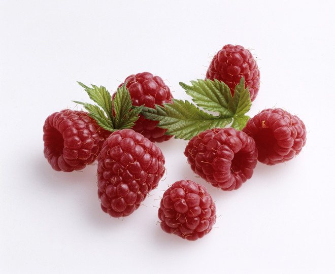 Малину этого сорта с удовольствием выращивают по всей России