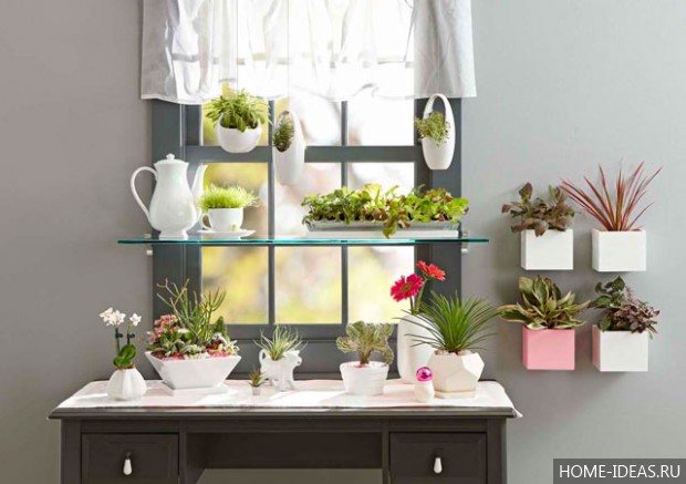 Мини-сад в горшке своими руками