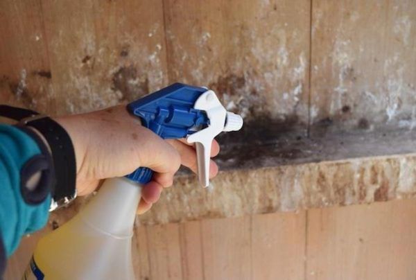 Некоторые препараты для обработки птицы подходят для обеззараживания помещений