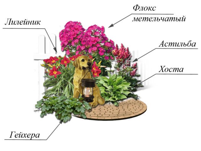 Оформление сада хостами: фото цветов на клумбе, лучшие соседи