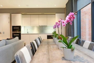 полезные цветы для дома