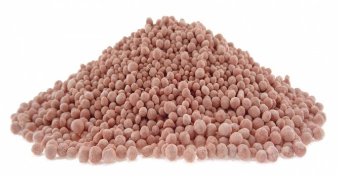 Поверхностно активные вещества предотвращают слипание гранул при хранении.