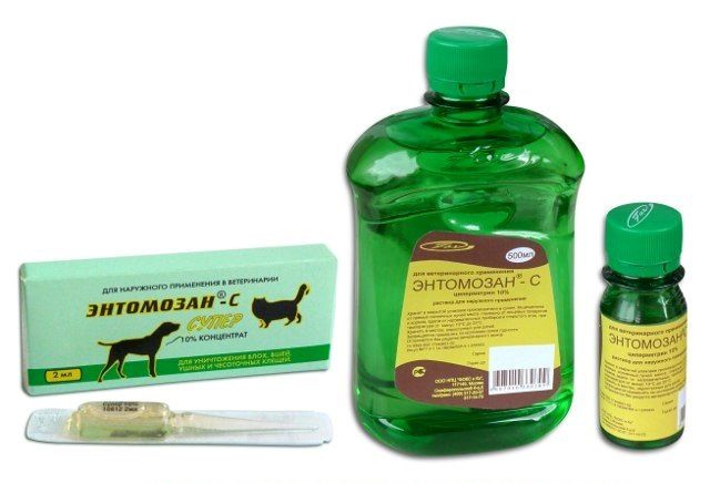 При заражении паразитами проводят обработку курятника