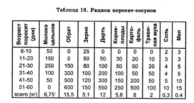 Примерный рацион маленьких поросят