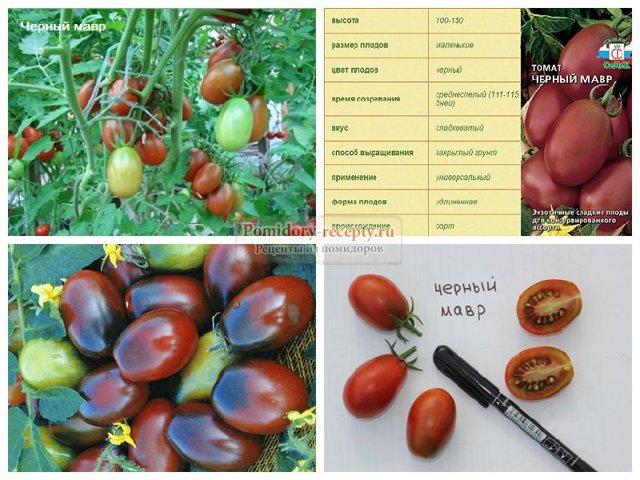 Томат Альфа: описание сорта, отзывы, фото, урожайность