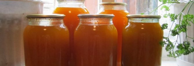 Тыквенно-яблочный сок с мякотью на зиму