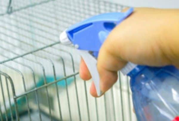 Во время применения метода аэрозолоьной дезинфекции струю следует разместить на расстоянии не менее 2 метров от животных