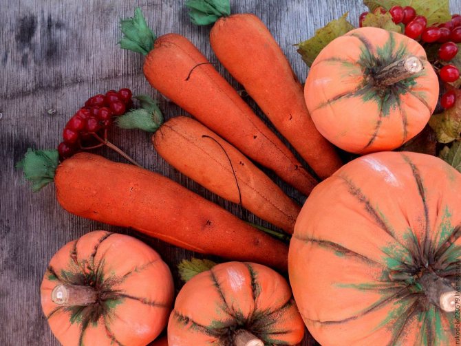 Зимой потребность в сочной пище удовлетворяется тыквой и морковью